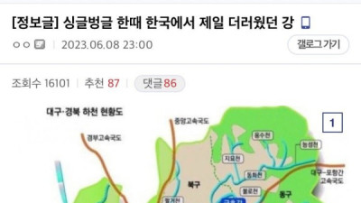   				한때 한국에서 제일 더러웠던 강			