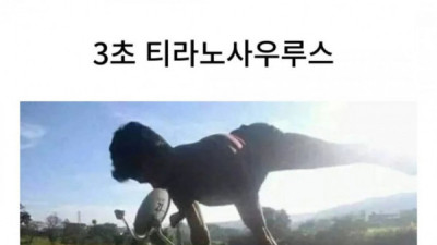   				3초 티라노사우루스			