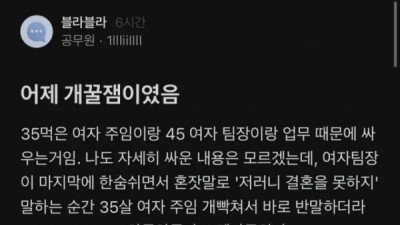   				노처녀의 적은 아줌마			