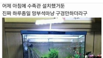   				밤새 게임한 자식을 보는 어미의 심정			