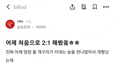 처음으로 2:1 야스해봤다는 삼성전자 블라녀(내용이 ㅇㅎ)