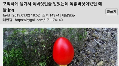   				누가 봐도 독버섯인데 사실 식용버섯인 것			