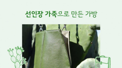   				특이점이 온 가죽 업계 근황			