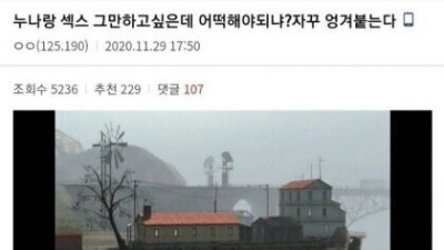   				누나랑 섻스 그만하고싶은 디씨인			