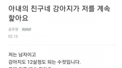   				강아지가 계속 핥는 이유			