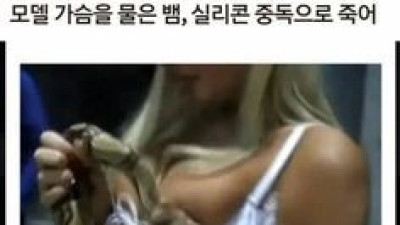   				그 뱀이 죽은 까닭			