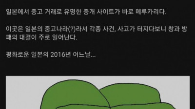   				일본 중고거래 사이트 메루카리 레전드 사건			