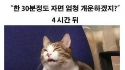   				일요일 낮잠의 무서움			