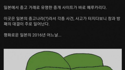   				일본판 중고나라 레전드 사건			