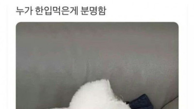   				누가 한입 먹은거 아님?			