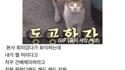   				회식 갔는데 제일 어리다고 건배사 시키길래...			