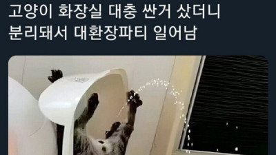   				어떻게 찍었는지 궁금한 짤			