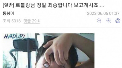   				통매음 고소협박 당한 잼민이의 사과문			