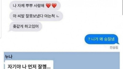   				누나가 카톡 잘못보냄			