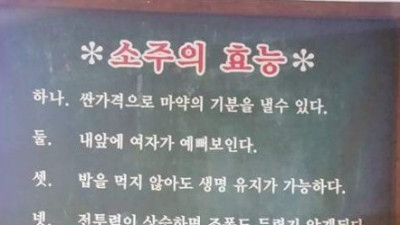   				소주의 효능			