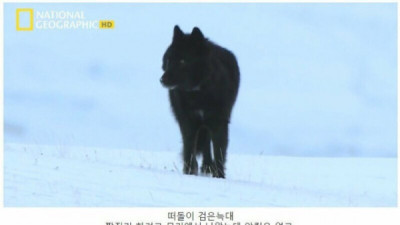   				아저씨 딸이 먼저 유혹했다니까요			