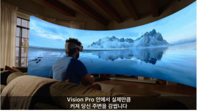   				애플 비전 프로 공개 후 VR 커뮤니티 상황			