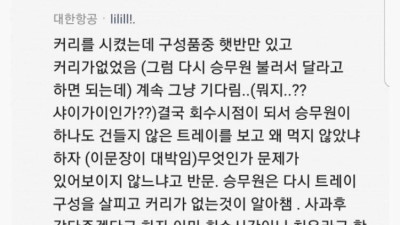  항공사 고객의 소리 레전드