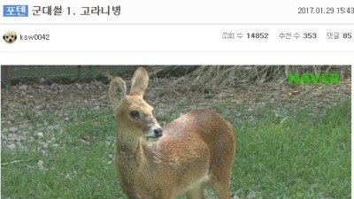   				고라니병			