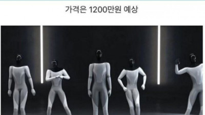   				2022년 9월에 출시한다는 테슬라 반려로봇			