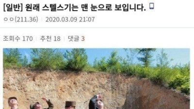   				스텔스기는 원래 맨눈으로 보임			