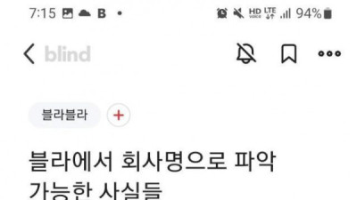   				블라인드에서 회사명으로 파악가능한 사실들			