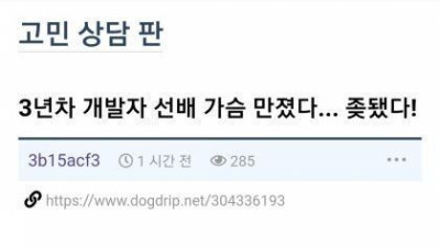   				3년차 개발자 여자 상사의 가슴을 만진 사람			