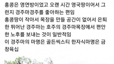   				싱글벙글 경주마 이긴 날과 못 이긴 날			