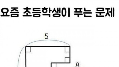   				요즘 초등학생이 푸는 문제.jpg			