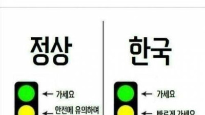   				신호등 보는법			