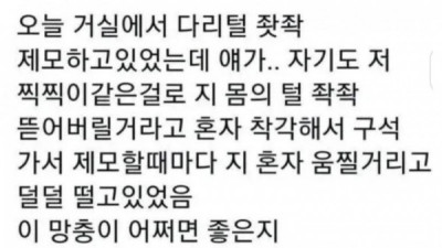   				개가 다리털 깍는 걸 봤다			