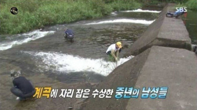   				자연산 장어가 좋은 이유.jpg			