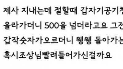   				퇴마 기능 있는 공기청정기			