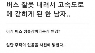   				버스잘못내려서 고속도로에 갇힌 썰			