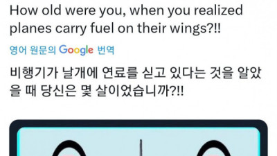   				비행기 날개에 연료를 채운다는 걸 처음으로 안 때는 몇 살인가요			