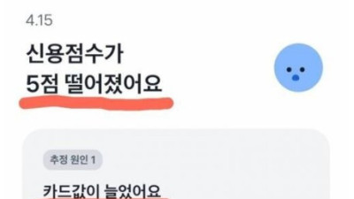   				싱글벙글 신용도 하락 원인			