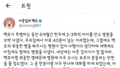   				이웃집의 백호네 소식			