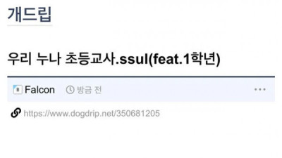   				누나의 초등학교 교사 근무썰.ssul			