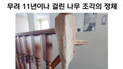 무려 11년이나 걸린 작품 ㄷ..jpg