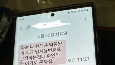   				피싱범 : (두뇌 풀 가동중)			