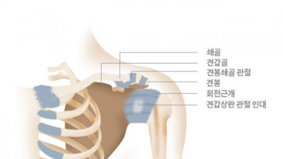   				뼈 인대등 다쳐본 사람은 공감하는것			