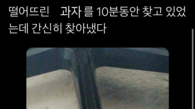   				떨어뜨린 과자를 10분만에 찾았다			