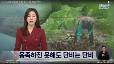   				MBC 뉴스데스크 비오는 날 취재 전문 기자			