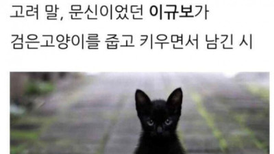   				고려시대 냥줍 후기			