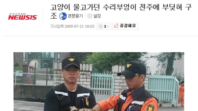 전문 털바퀴 사냥꾼.JPG