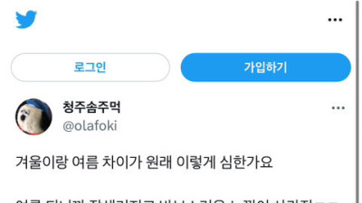   				잘생긴 여름 고양이 바보 겨울 고양이			