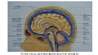   				인간이 CPU 를 냉각하는 법			