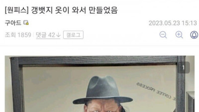   				원피스) 오늘자 드디어 캐릭터에 빙의해버린 디시인 근황			