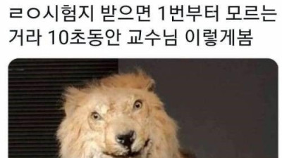   				시험지 받고 나서 국룰			