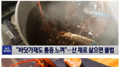   				영국에서 산 채로 삶으면 처벌받는 생물			